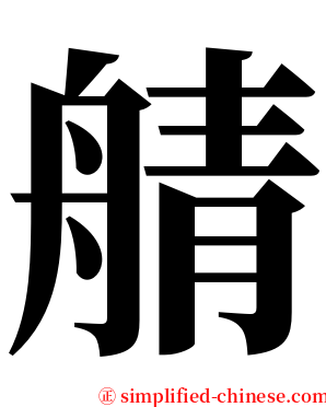 䑶 serif font