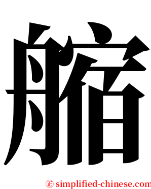 䑿 serif font