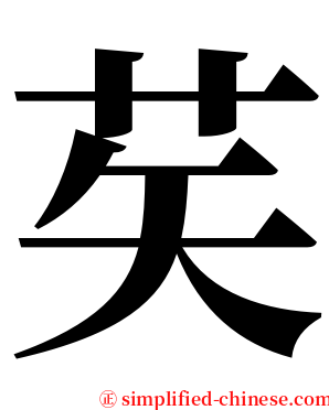 䒨 serif font