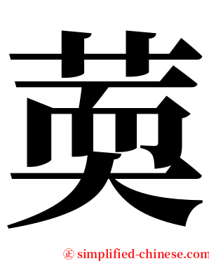 䓴 serif font