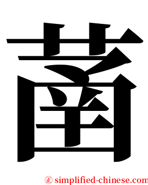 䓿 serif font