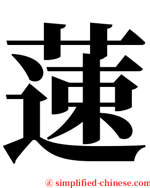 䔎 serif font