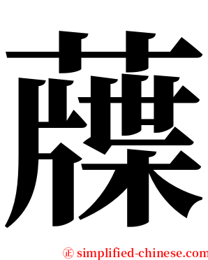 䕈 serif font