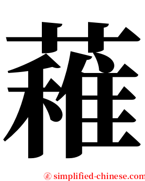 䕌 serif font