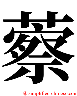 䕓 serif font
