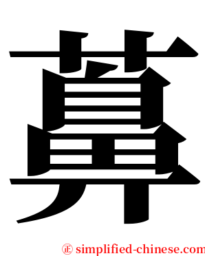 䕗 serif font