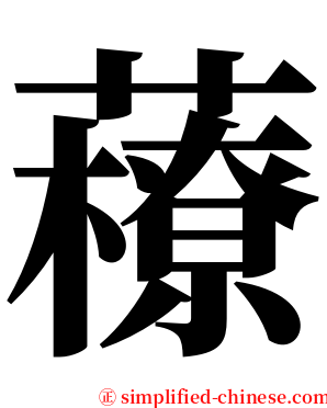 䕩 serif font