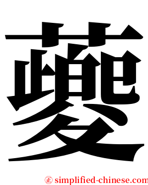 䕫 serif font