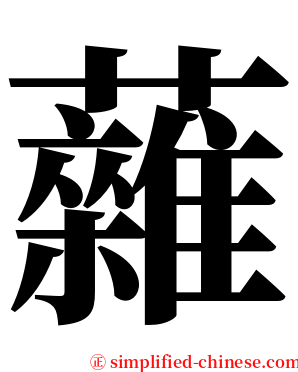 䕹 serif font