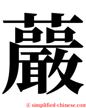 䕾 serif font