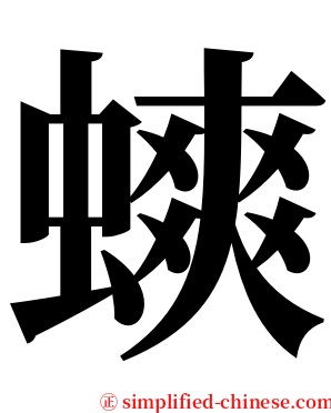 䗮 serif font
