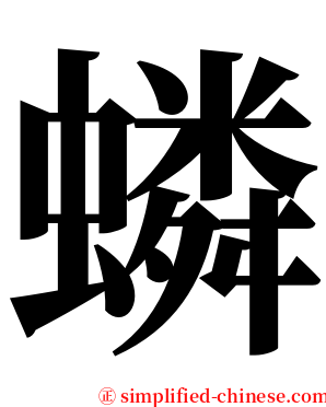 䗲 serif font