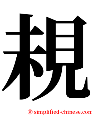 䙿 serif font