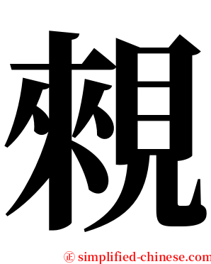 䚅 serif font