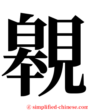 䚌 serif font