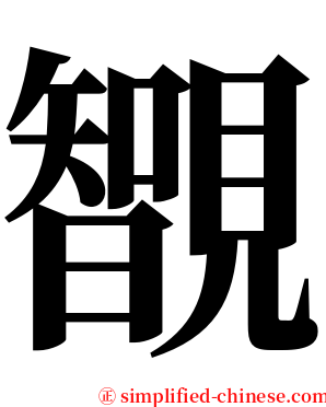 䚐 serif font