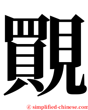 䚑 serif font
