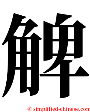 䚜 serif font