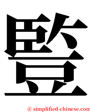 䜿 serif font