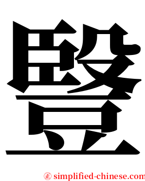 䝂 serif font