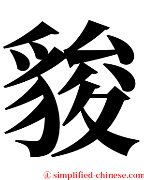 䝜 serif font