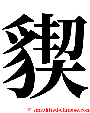 䝟 serif font