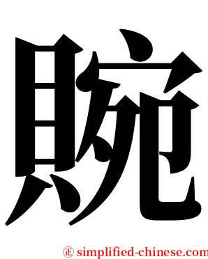 䝹 serif font