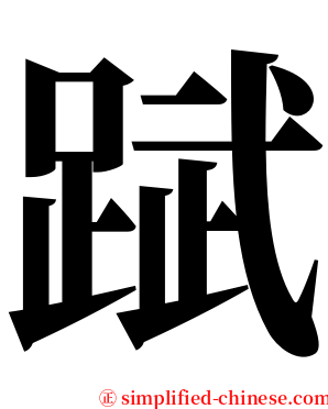 䟼 serif font