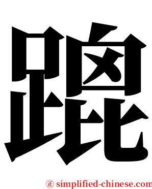 䠘 serif font