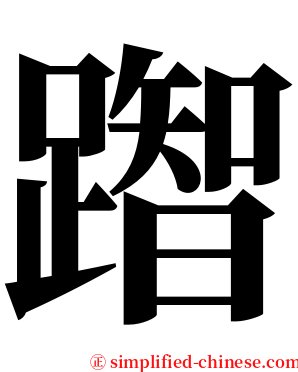 䠦 serif font