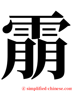 䨜 serif font