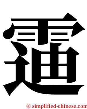 䨤 serif font