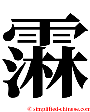 䨬 serif font