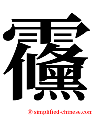 䨹 serif font