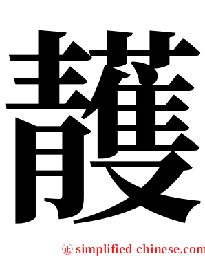 䨼 serif font