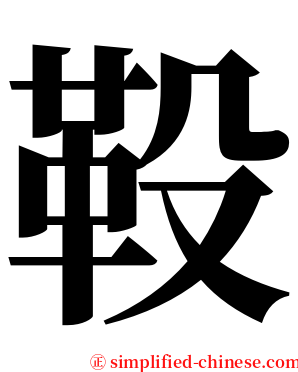 䩔 serif font