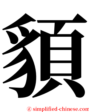 䫉 serif font