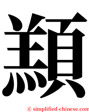 䫞 serif font