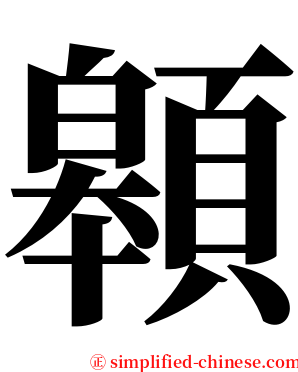 䫧 serif font