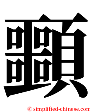 䫷 serif font