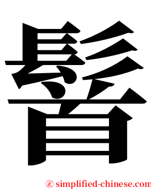 䭮 serif font