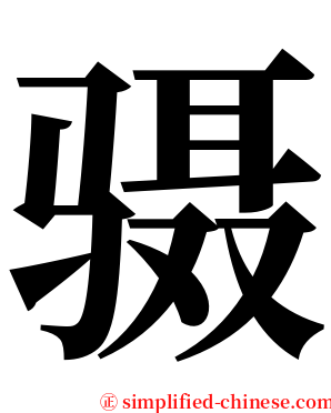 䯅 serif font
