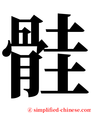 䯓 serif font