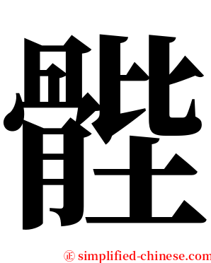 䯗 serif font