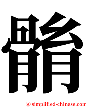 䯚 serif font