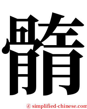 䯝 serif font
