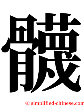 䯦 serif font