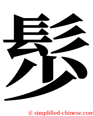 䯯 serif font