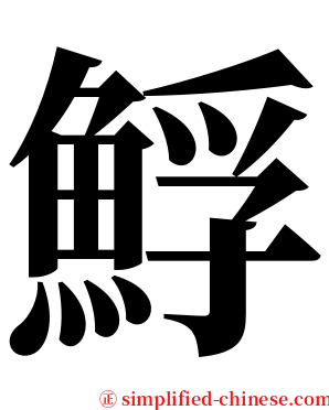 䱐 serif font