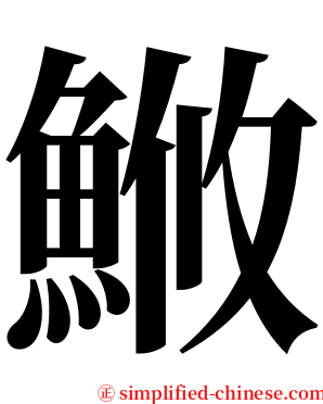 䱔 serif font